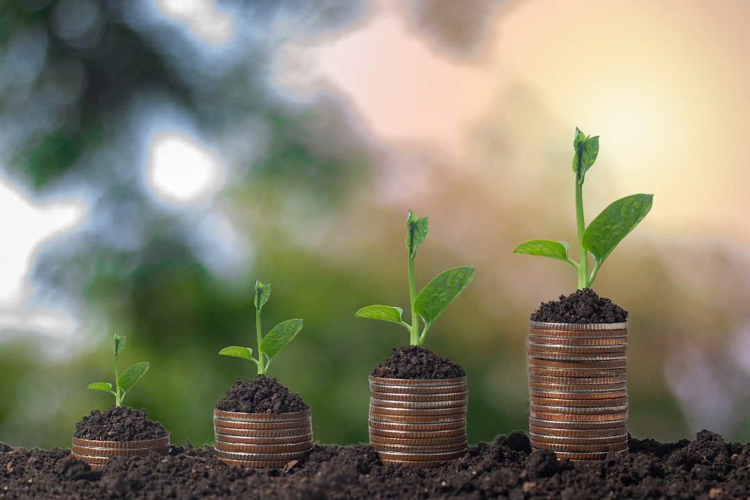 6531ede8cbd95.png 未命名__2023-10-20+10_59_22.png