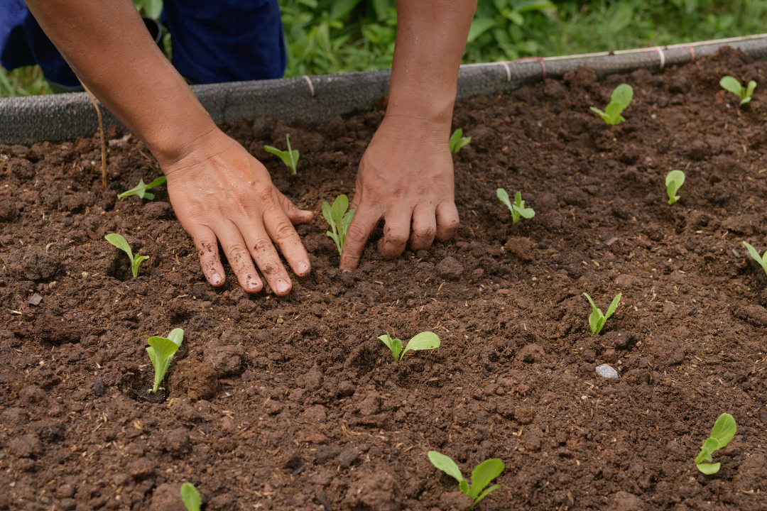 6531ee0f1c4ee.png 未命名__2023-10-20+10_59_35.png