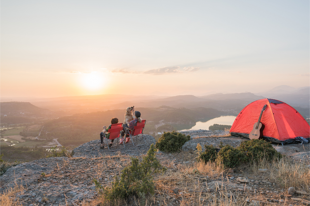 6600d9faa4d9c.png 未命名__2024-03-25+09_55_05.png