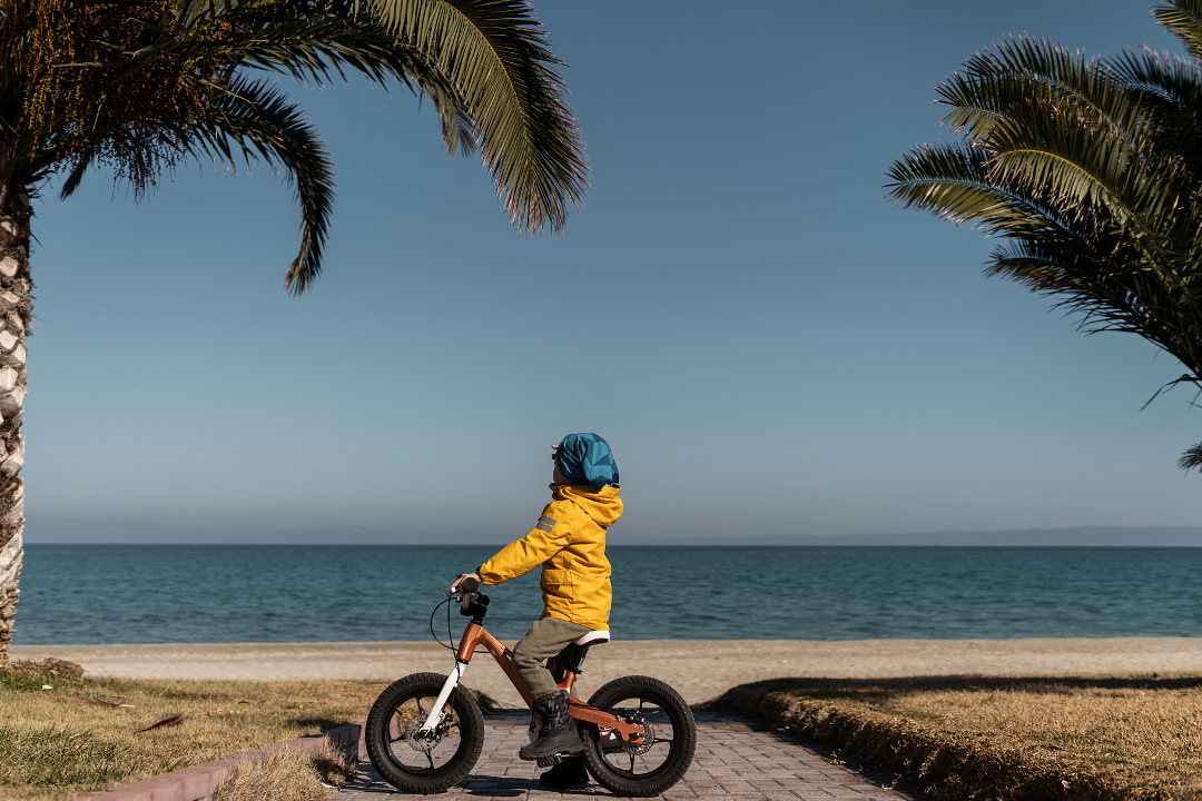 6600da1447912.png 未命名__2024-03-25+09_55_18.png