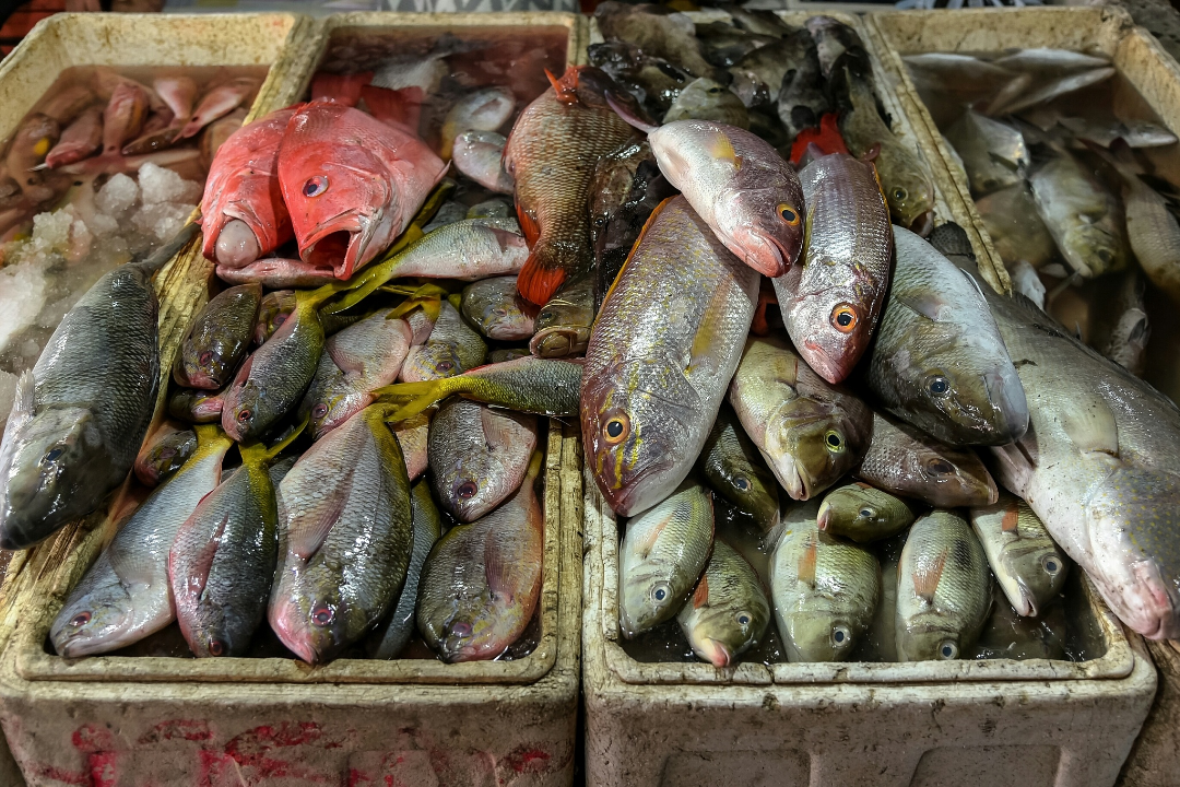 6620bd1504933.png 未命名__2023-05-10+14_38_38.png