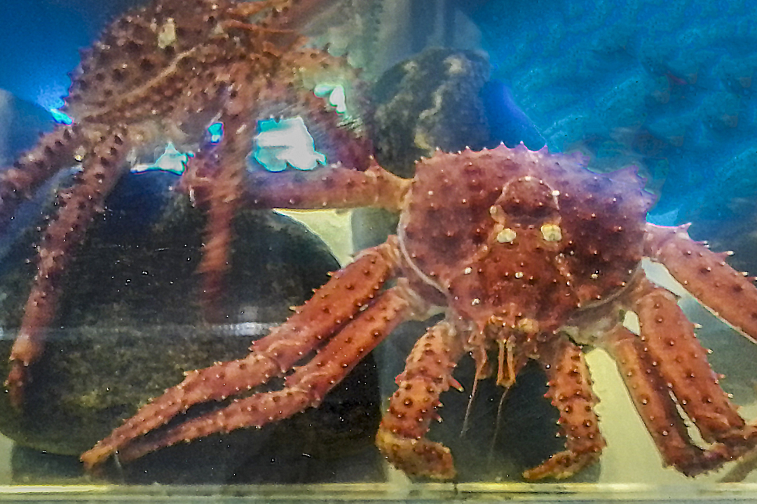 6629c14127d18.png 未命名__2023-06-19+09_53_25.png