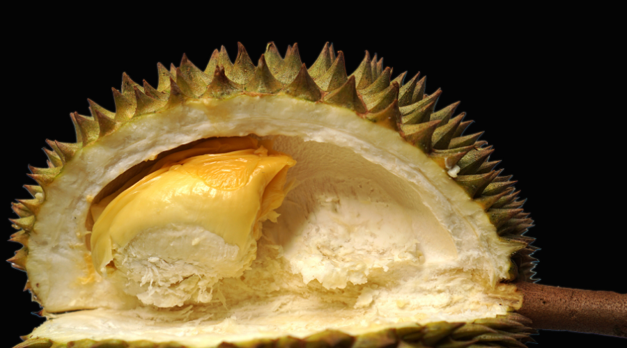 664d6a2004e48.png 未命名__2024-05-22+11_43_17.png