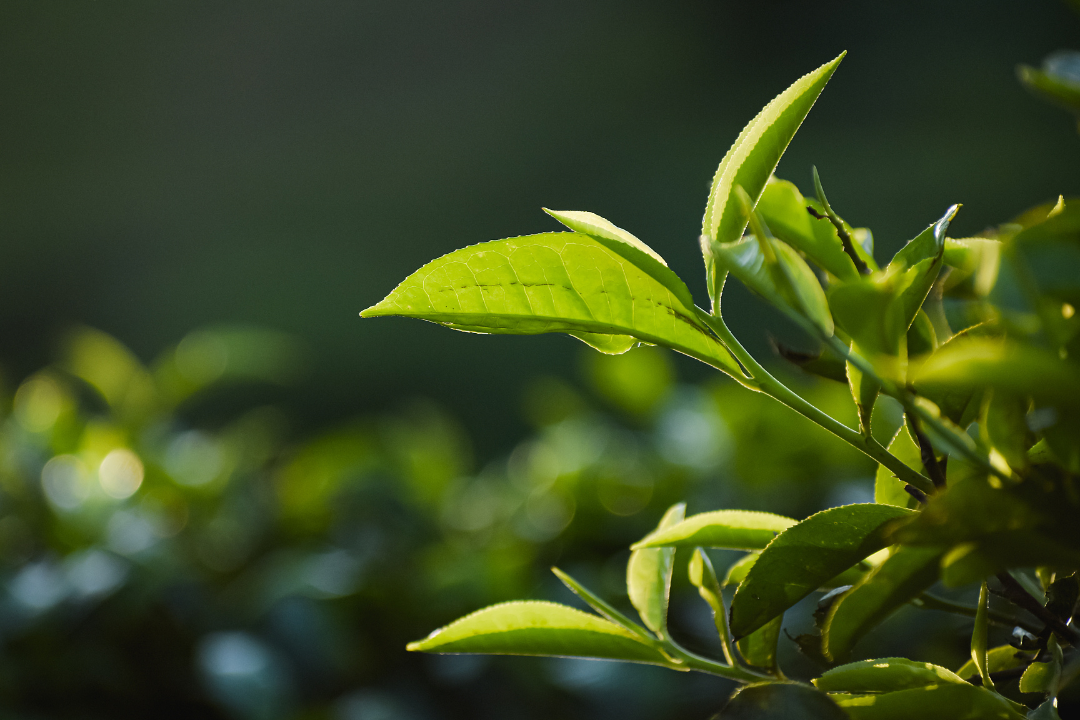 6709d3fbaf097.png 未命名__2023-05-27+10_54_32.png