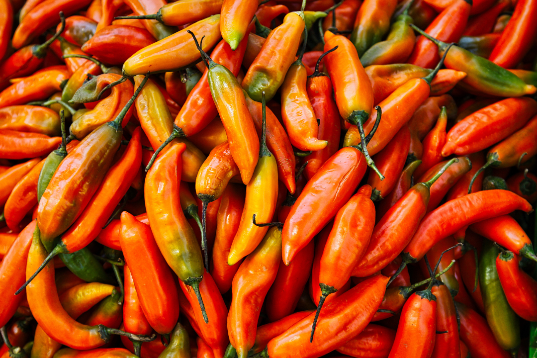 67340732957a2.png 未命名__2024-11-13+09_49_01.png