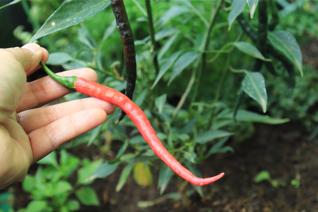 6734074e543b6.png 未命名__2024-11-13+09_49_16.png